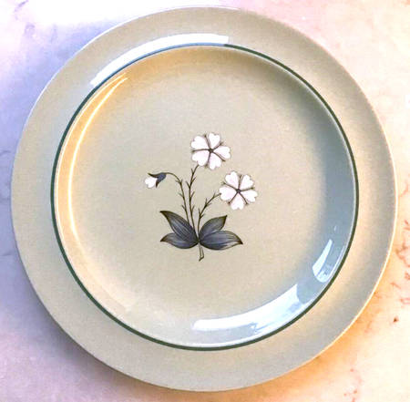 Greenwood (Earthenware Floral) by Wedgwood