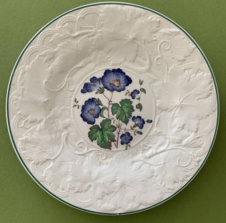 CK5289 by Wedgwood