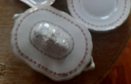 WOO266 Oval Covered Vegetable