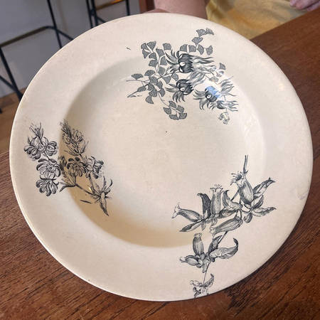Australian Flora Black by Wedgwood