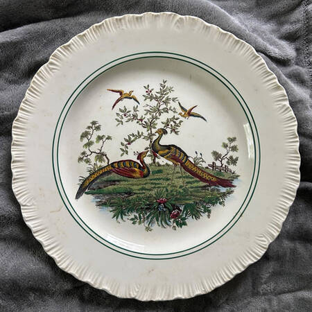 Liverpool Birds Multicolor (Shell Edge Shape) by Wedgwood