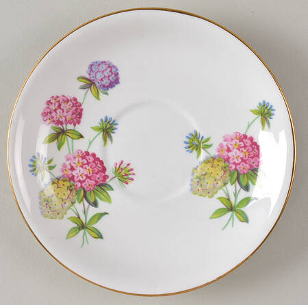 Hydrangea by Windsor (England)