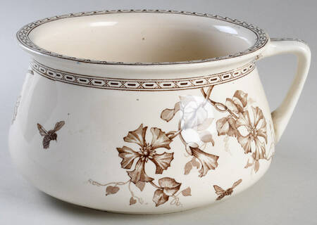 Clematis Brown by Wedgwood