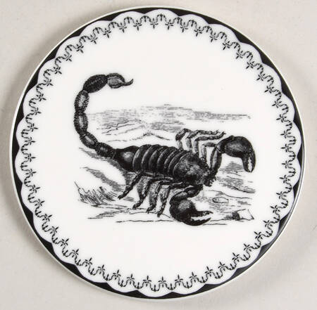 Spooky Soiree Coaster