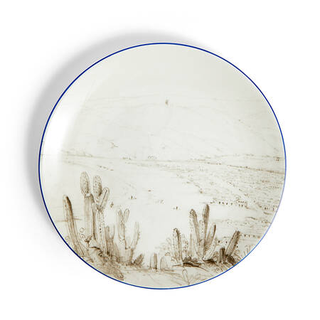 Darwin Voyage of the Beagle Salad/Dessert Plate