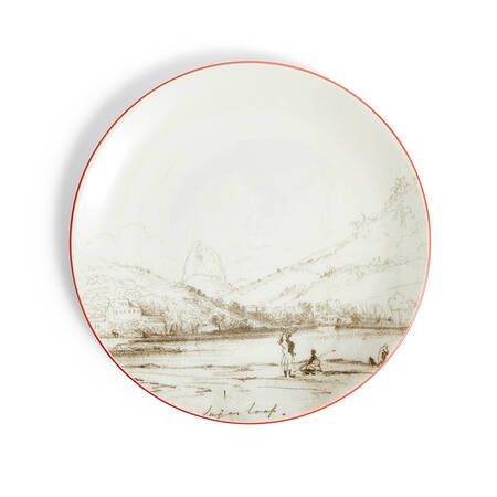 Darwin Voyage of the Beagle by Wedgwood
