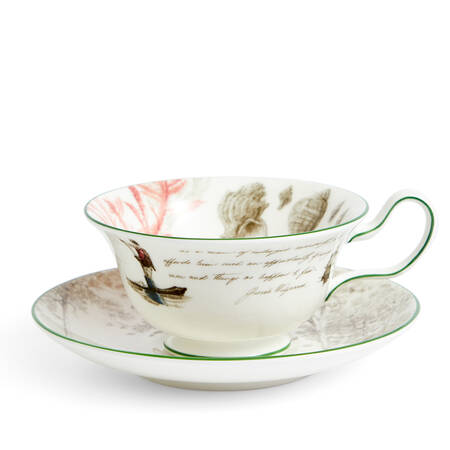 Darwin Voyage of the Beagle Flat Cup & Saucer Set