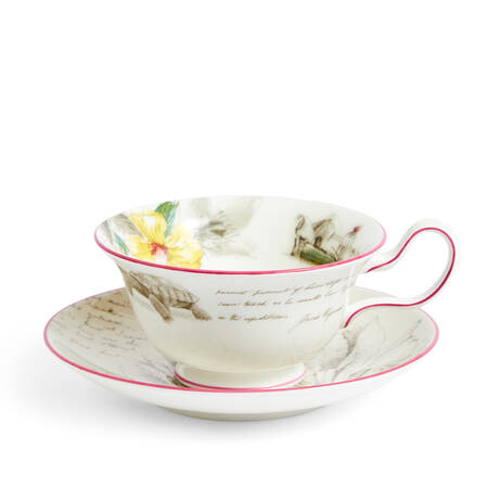 Darwin Voyage of the Beagle Flat Cup & Saucer Set