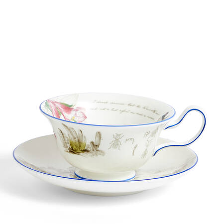 Darwin Voyage of the Beagle Flat Cup & Saucer Set