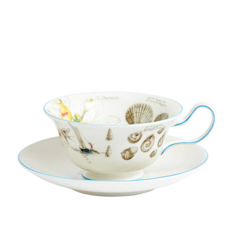 Darwin Voyage of the Beagle Flat Cup & Saucer Set