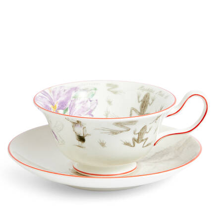 Darwin Voyage of the Beagle Flat Cup & Saucer Set