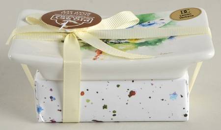 Giftware Q  Dragonfly Soap Set