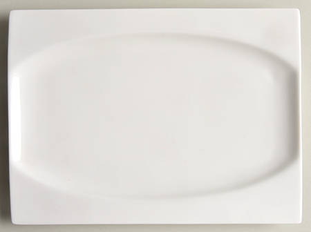 Sam & Squito 9" Rectangular Plate