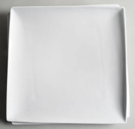 Sam & Squito Square Dinner Plate