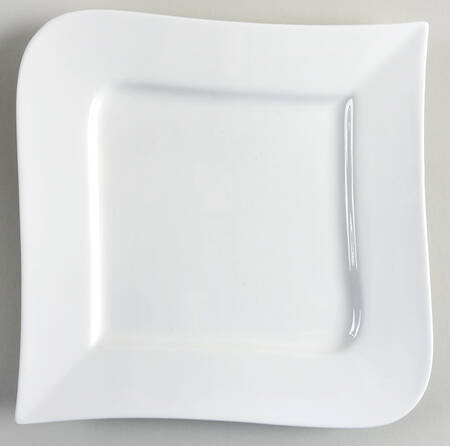 Sam & Squito Square Dinner Plate