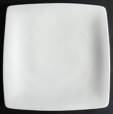 Sam & Squito Square Dinner Plate