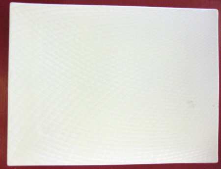 Sam & Squito 12" Rectangular Plate