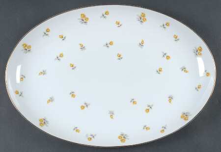 Ariel 16" Oval Serving Platter