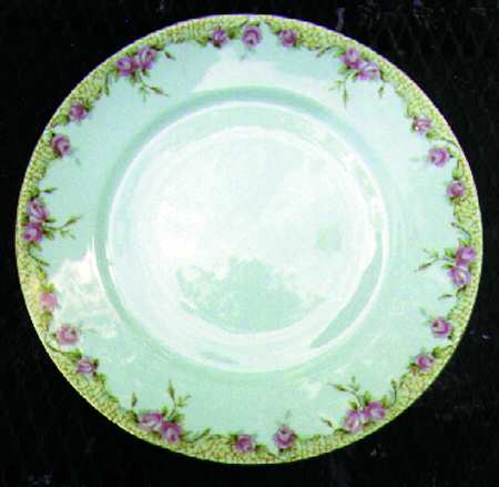 SCR366 Dinner Plate