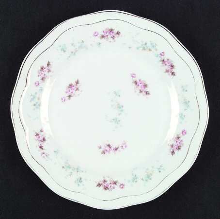 ZSC60 Luncheon Plate