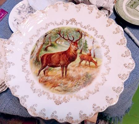 SCR226 13" Wall Plate