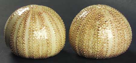 Viscaya Salt & Pepper Set