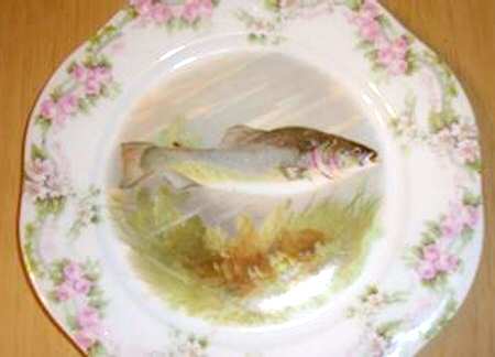 SCR374 Dinner Plate