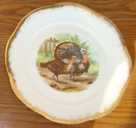 SCR209-1 Dinner Plate