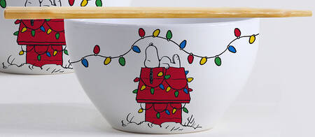 Peanuts Christmas Noodle Bowl & Chopsticks Set