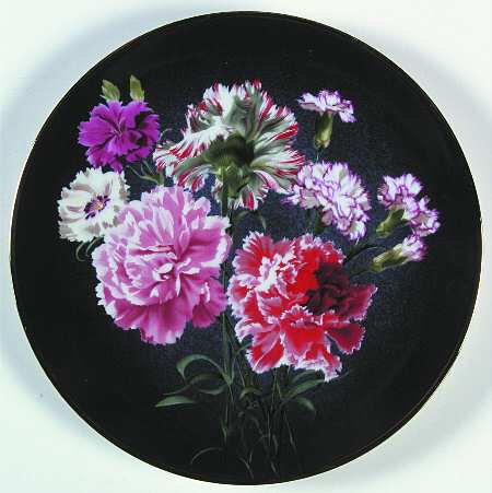 Flowers Of Count Bernadotte Carnation - Boxed