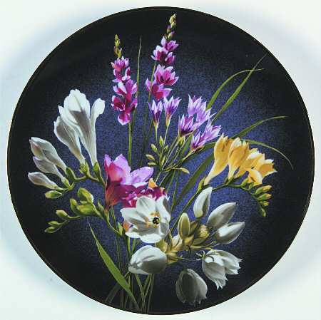 Flowers Of Count Bernadotte Freesia - Boxed