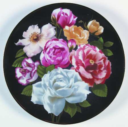 Flowers Of Count Bernadotte Rose - Boxed