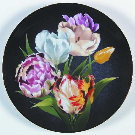 Flowers Of Count Bernadotte Tulip - Boxed