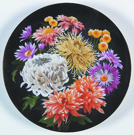 Flowers Of Count Bernadotte Chrysanthemum - Boxed