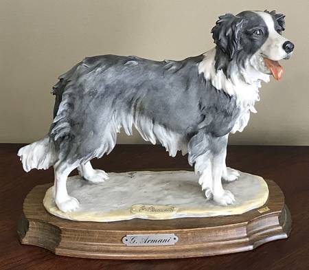 Dogs Border Collie - Boxed