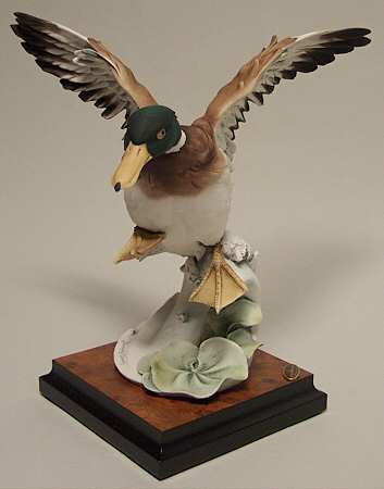 Birds Duck Glide - Boxed