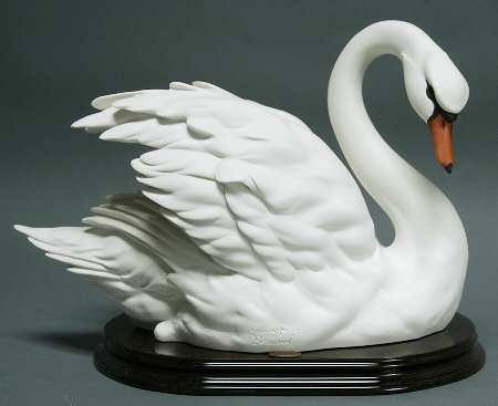 Swans Swan-Semi Closed Wings - Boxed