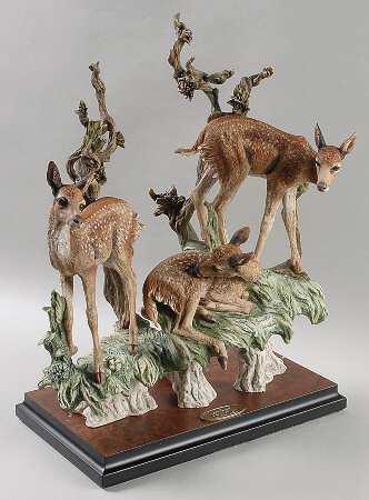 Wildlife-Sealife Early Days - Boxed