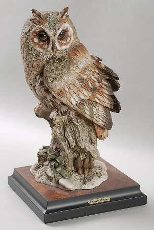 Owls Owl - Boxed