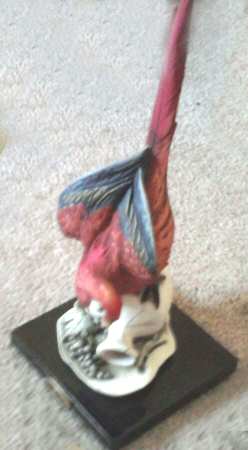 Birds Parrot - Boxed