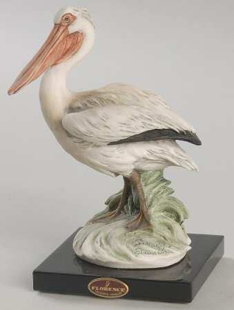 Birds Pelican - Boxed