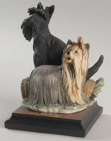 Dogs Odd Couple - Boxed