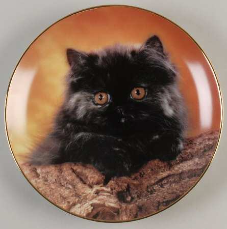 Lovable Kittens Pet, And I'Ll Purr - No Box