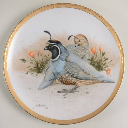 North American Birds by Armstrong