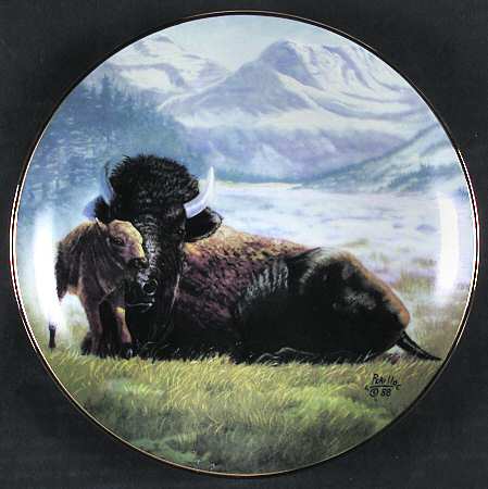 North American Wildlife Buffalo - Boxed