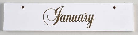 Calender Babies January Namplate - No Box