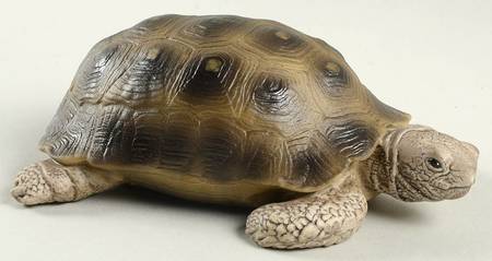 Aynsley Figurines Turtle - With Box