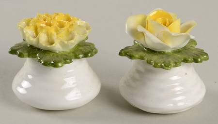 Aynsley Figurines Salt & Pepper Shaker-Flower-Yellow - With Box 49a