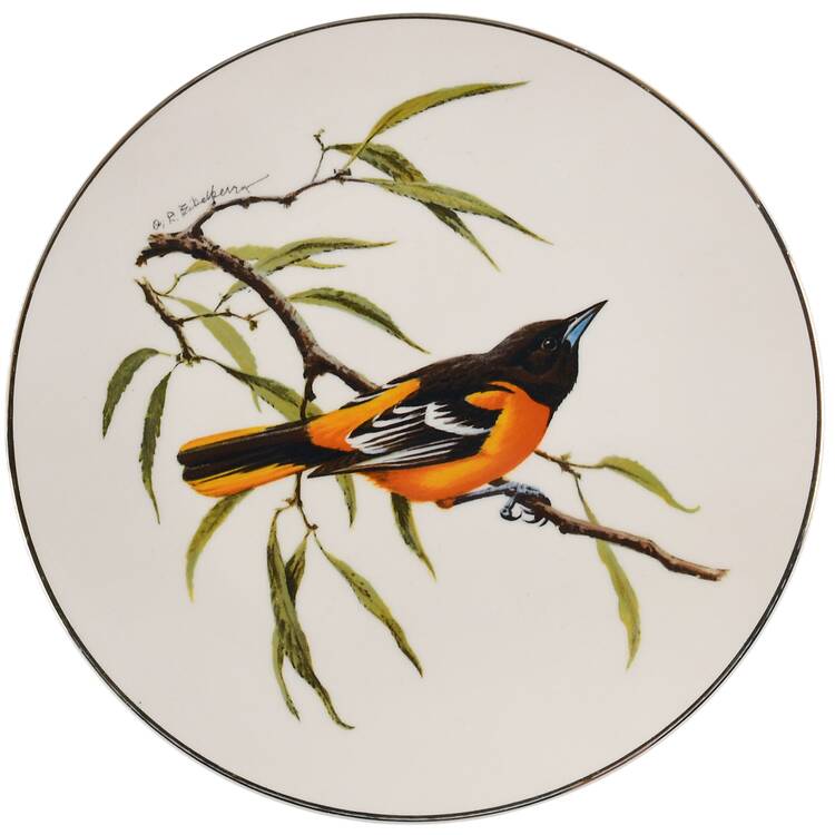 North American Songbirds Baltimore Oriole - No Box
