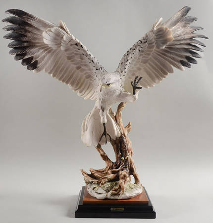 Birds White Hawk - Boxed